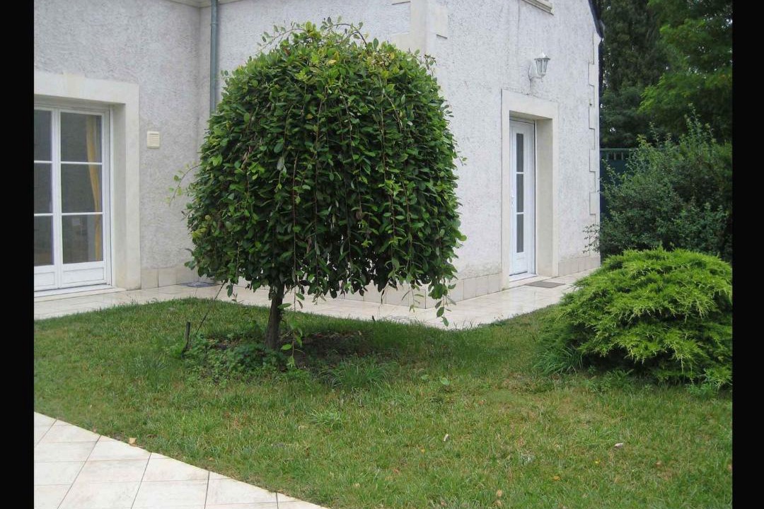 Photo of Others in La Riche