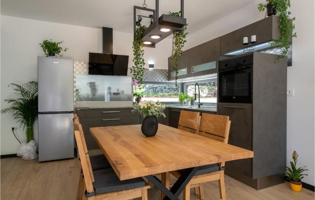 Photo of Kitchen in Boljevici