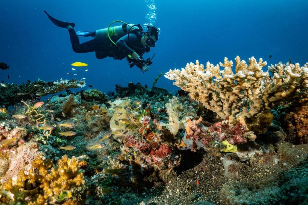 Photo of Others in Penuktukan