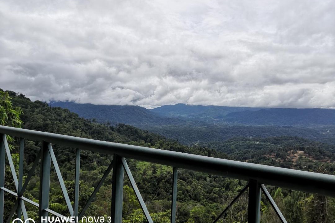 Photo of Others in Bukit Tinggi
