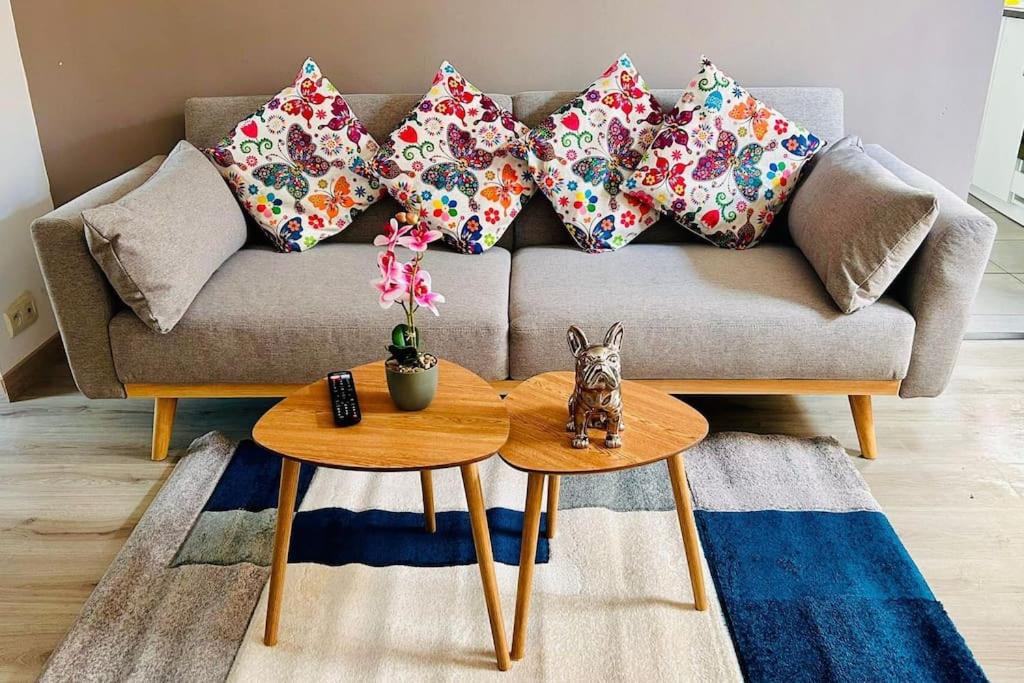 Photo of Livingroom in Cormontreuil