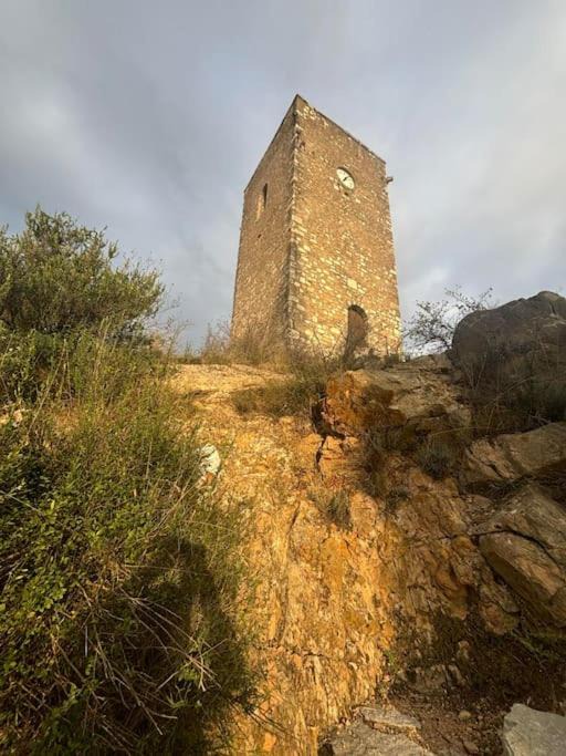 Photo of Others in Cessenon-sur-Orb