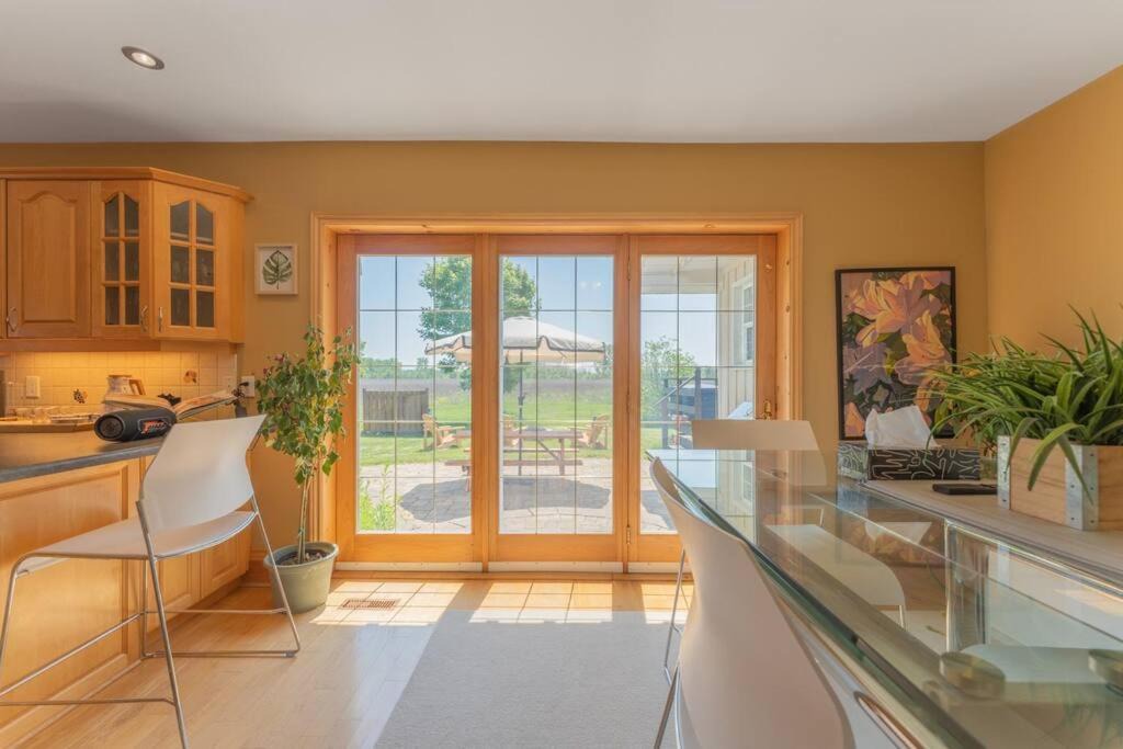 Photo of Kitchen in Belleville