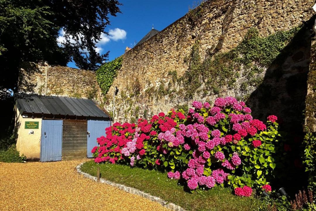 Photo of Others in Flore