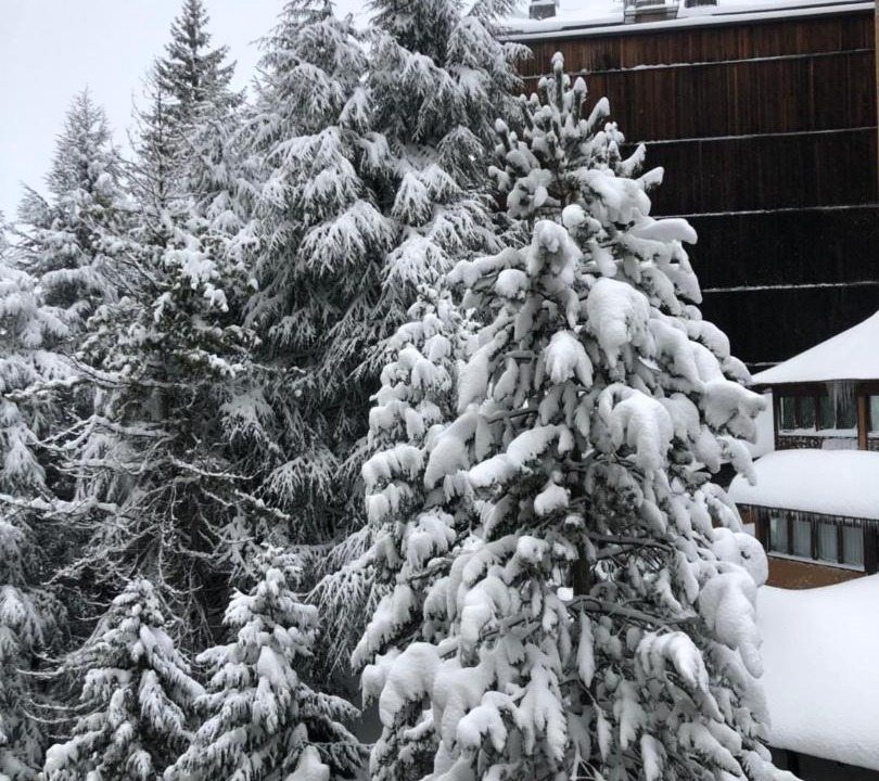 Photo of Others in Baqueira