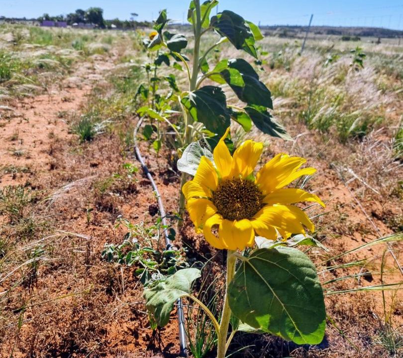 Photo of Others in Peterborough