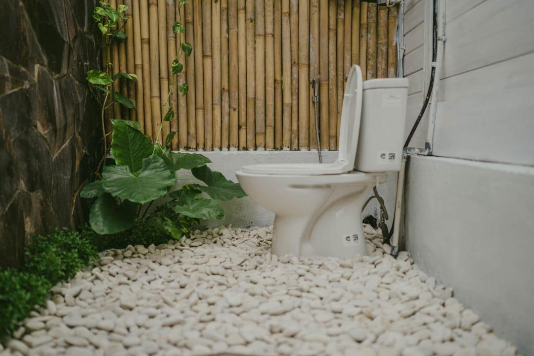 Photo of Others in Ubud