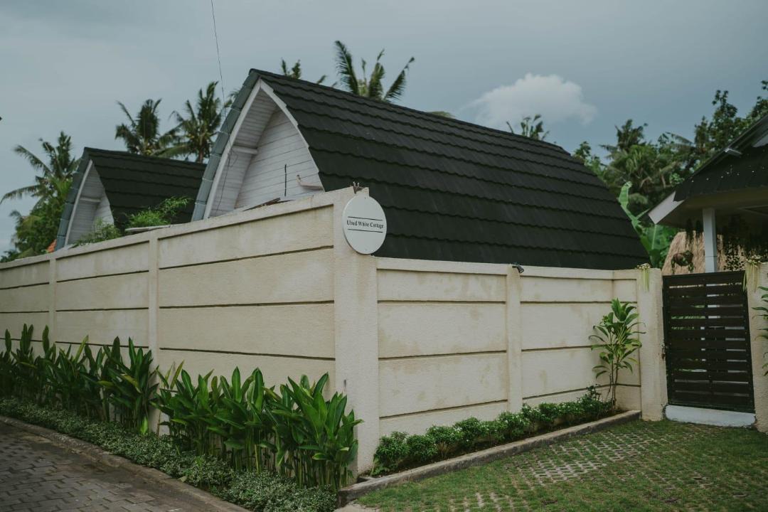 Photo of Others in Ubud