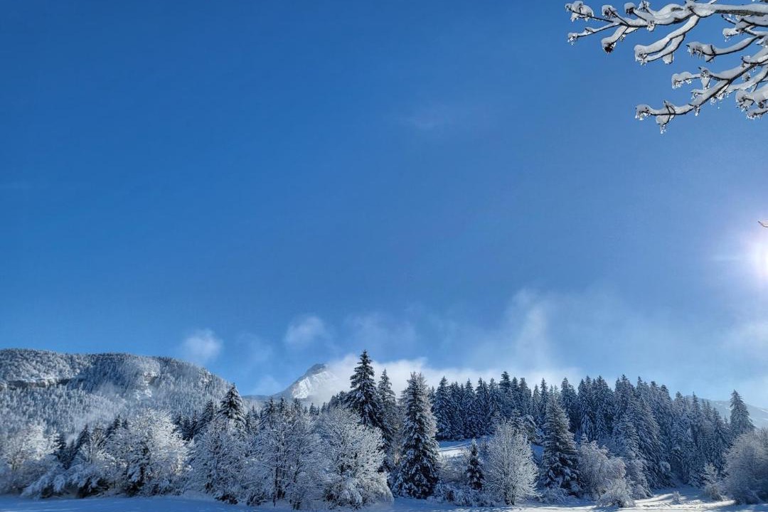 Photo of Others in Correncon-en-Vercors