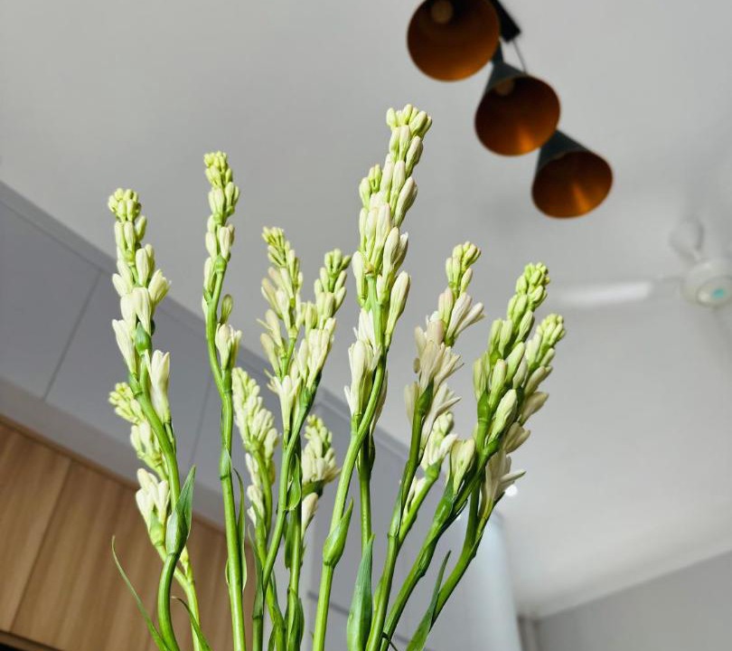 Photo of Kitchen in Blahbatuh