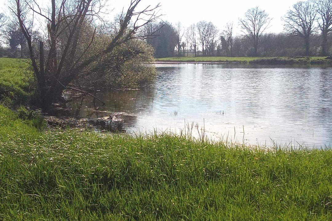 Photo of Others in La Roche-sur-Yon