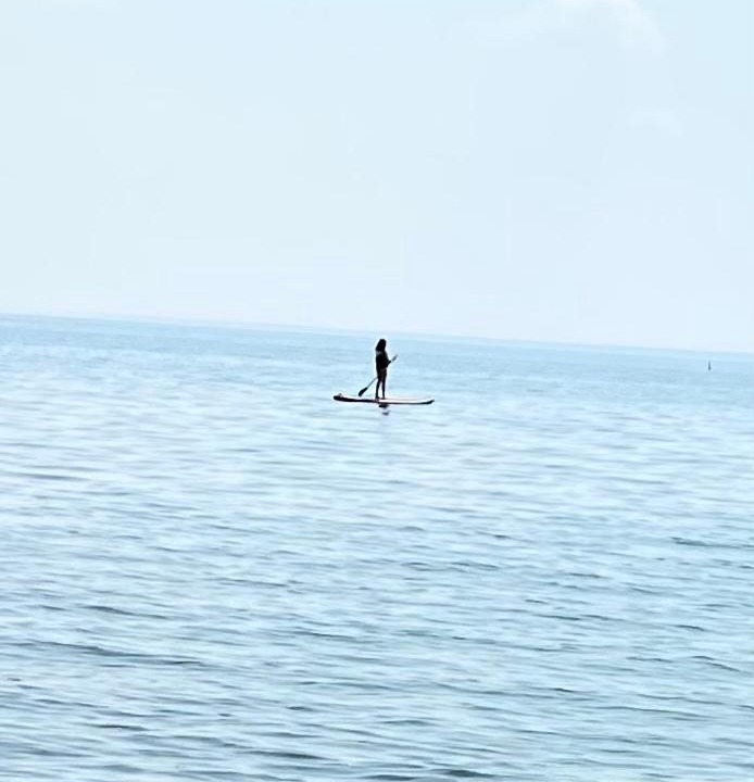 Photo of Human In Picture in Woodville