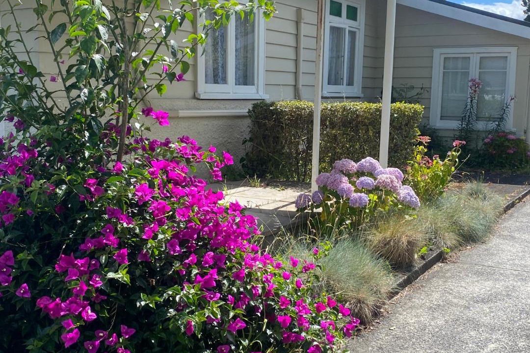 Photo of Others in Whangarei