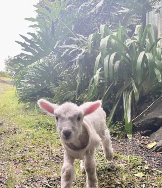 Photo of Others in Turiwiri