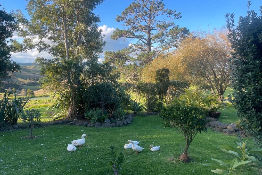 Photo of Others in Turiwiri