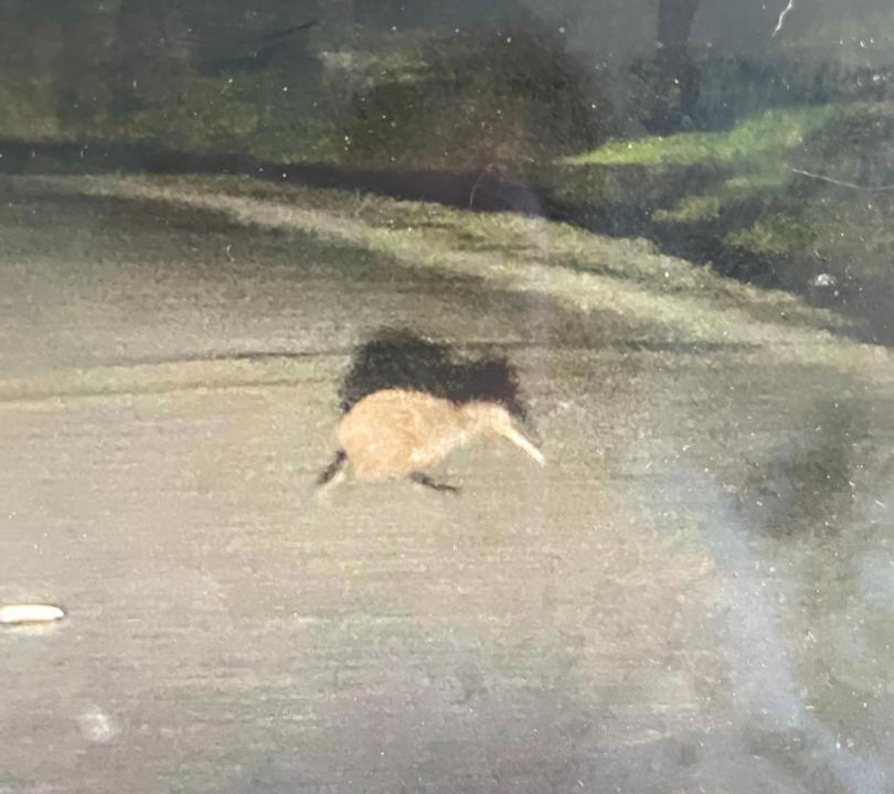 Photo of Others in Turiwiri