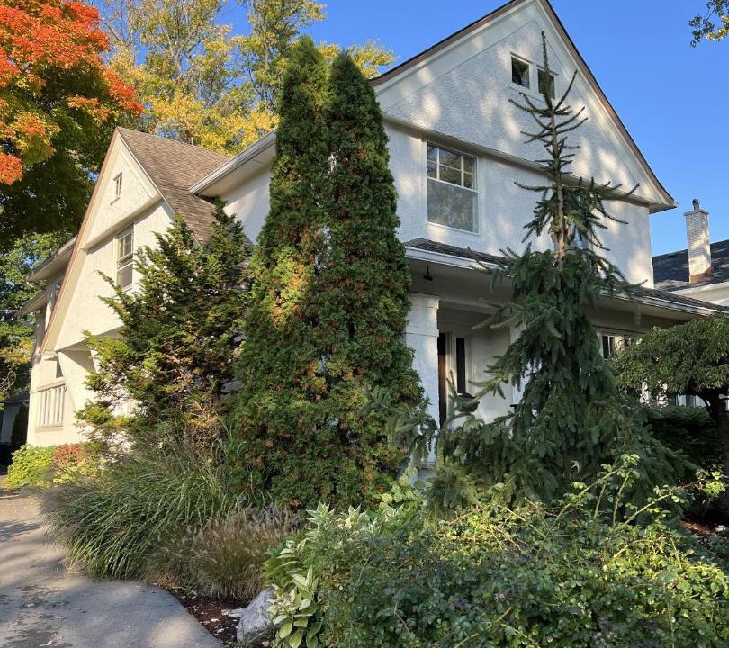 Photo of Others in Oak Park