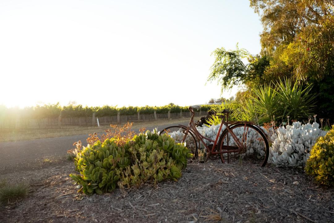 Photo of Others in Upper Wakefield