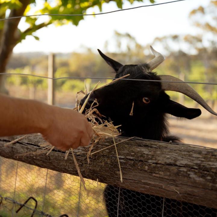 Photo of Others in Upper Wakefield