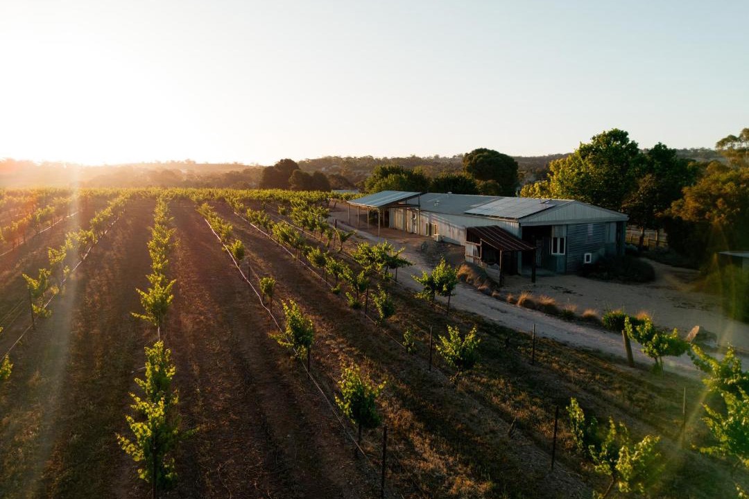 Photo of Others in Upper Wakefield