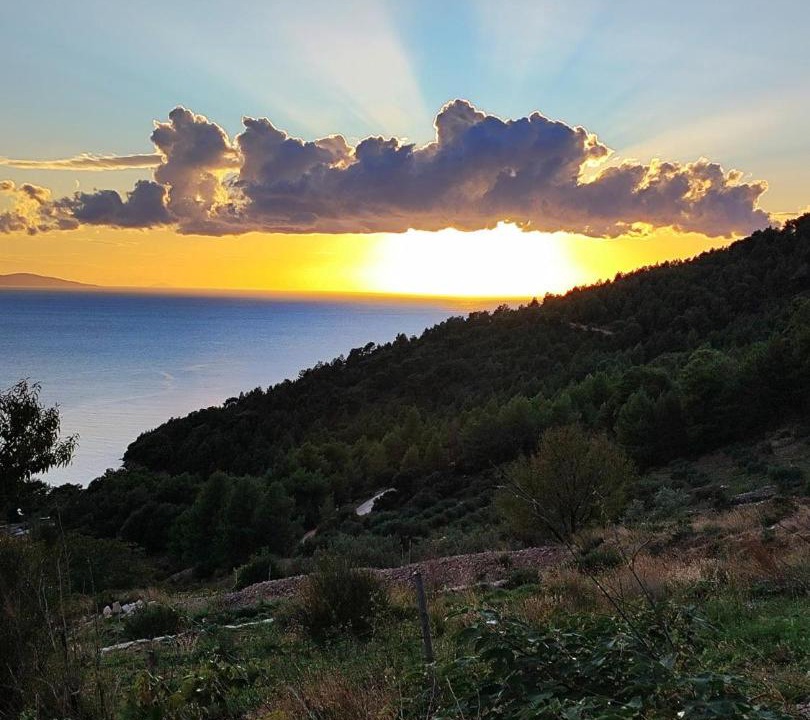 Photo of Others in Murvica