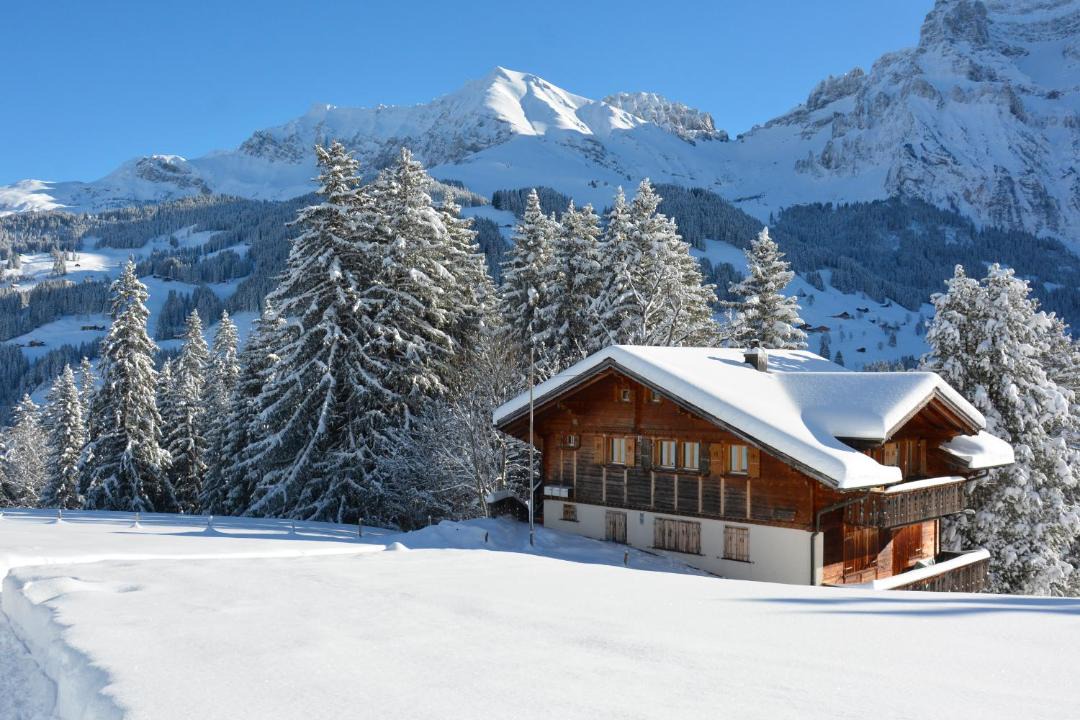 Photo of Others in Adelboden