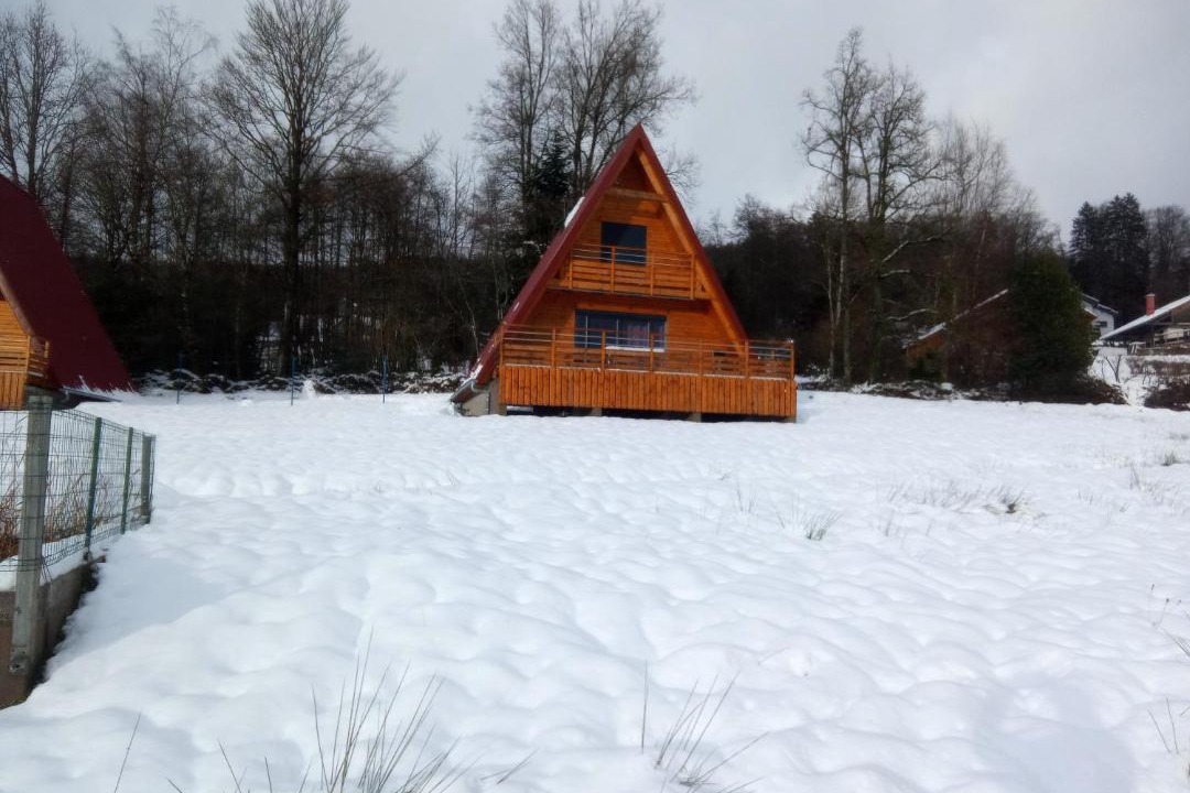 Photo of Others in La Forge