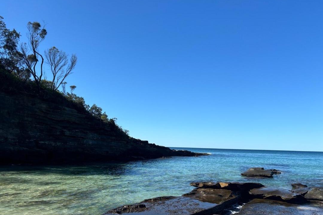 Photo of Others in South Durras