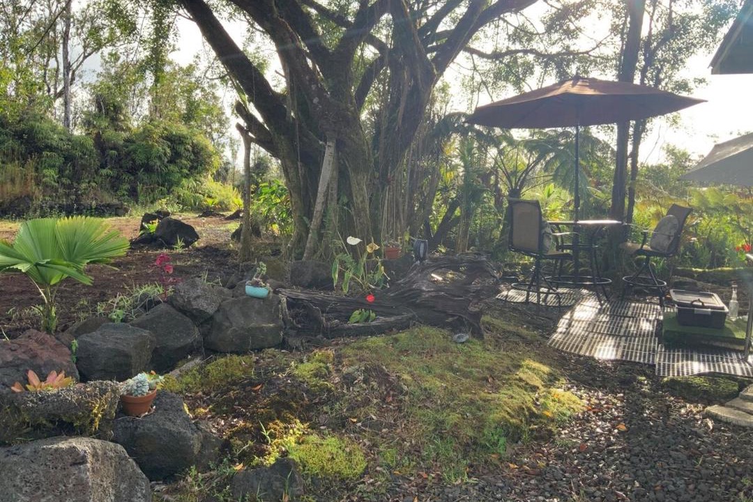 Photo of Others in Mountain View