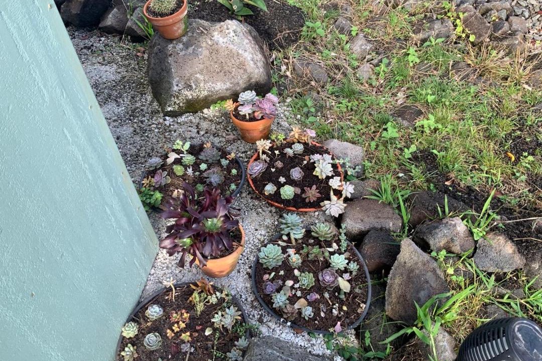 Photo of Outdoor in Mountain View