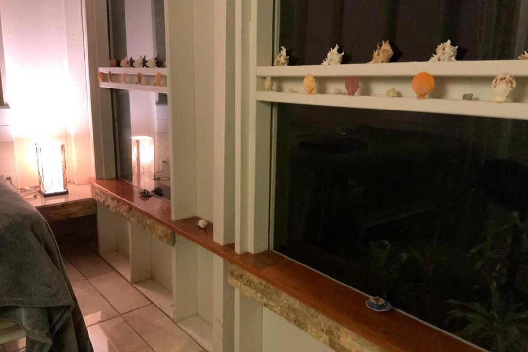 Photo of Others in Mountain View