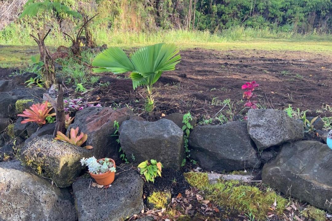 Photo of Outdoor in Mountain View