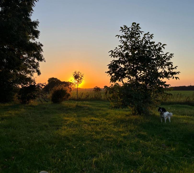 Photo of Others in Hundested