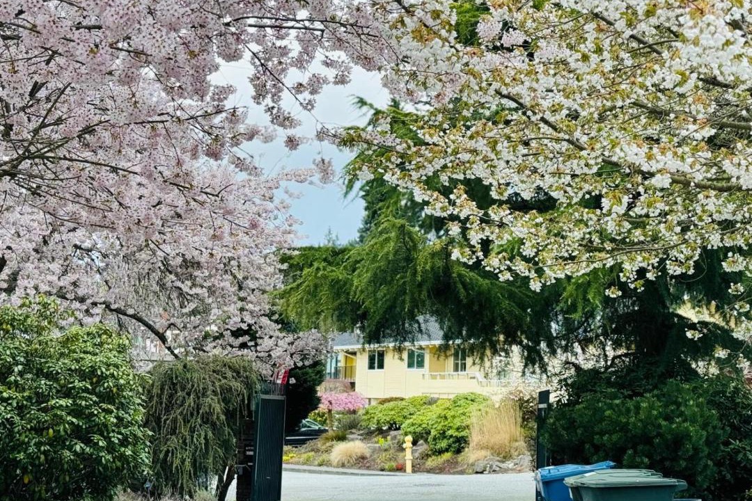Photo of Others in The Bowl of Edmonds