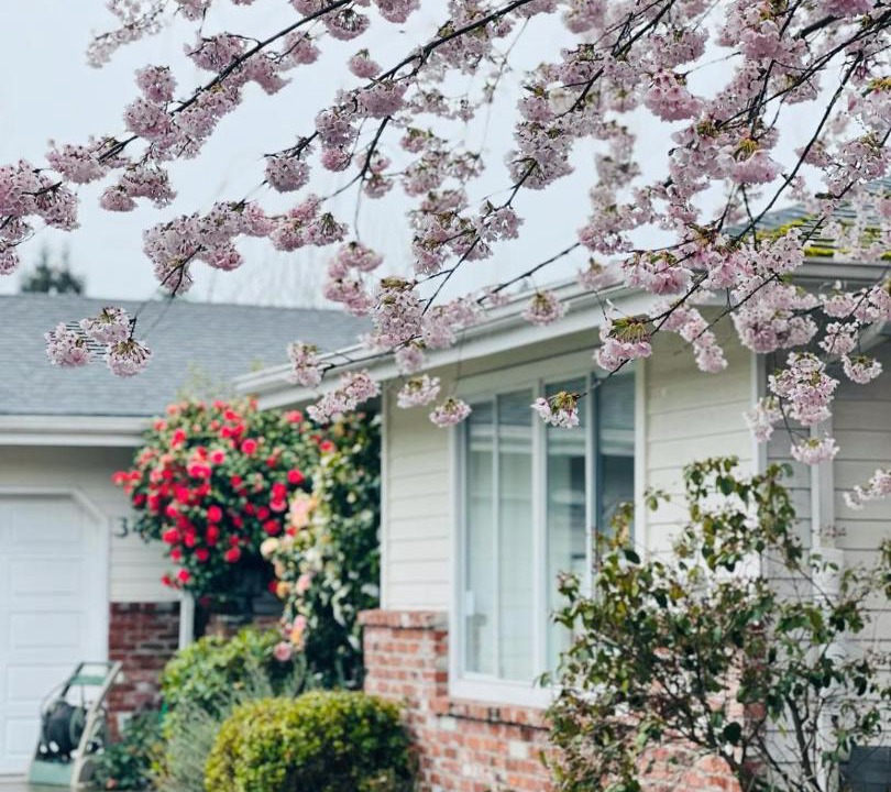 Photo of Others in The Bowl of Edmonds