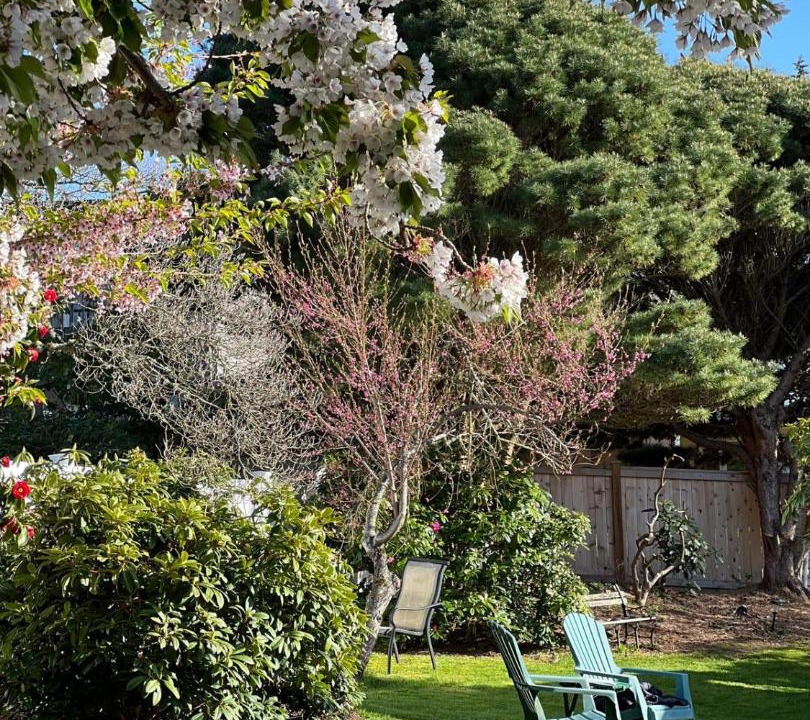 Photo of Outdoor in The Bowl of Edmonds