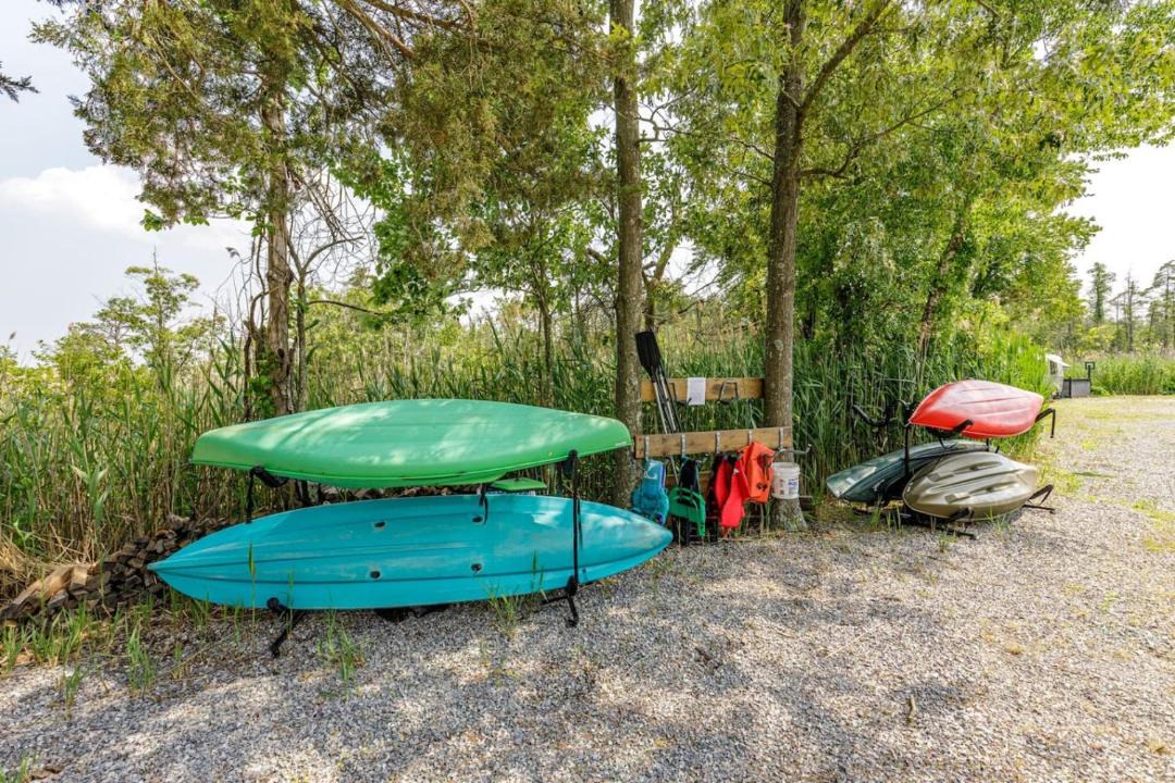 Photo of Others in Forked River