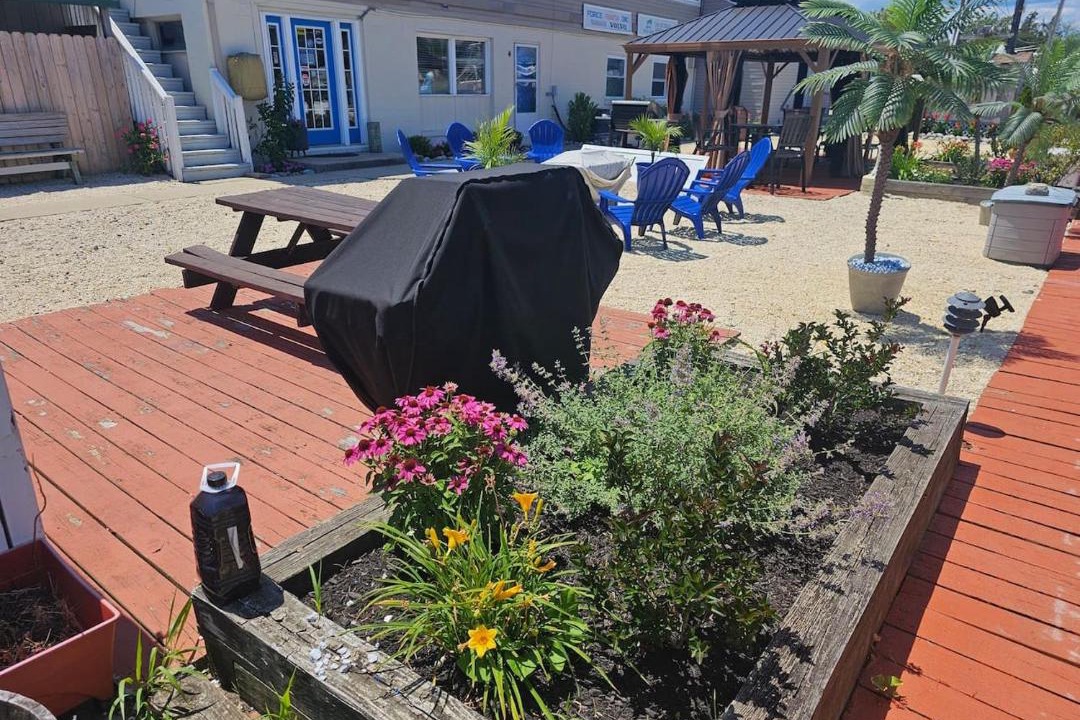 Photo of Others in Forked River