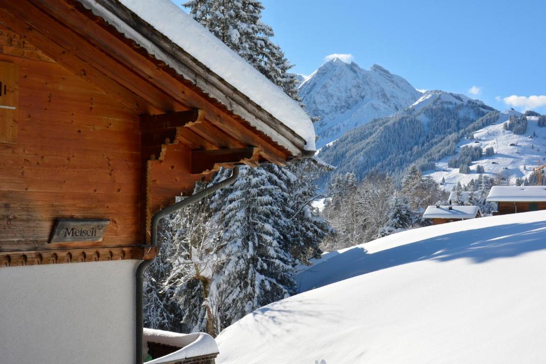 Photo of Others in Adelboden