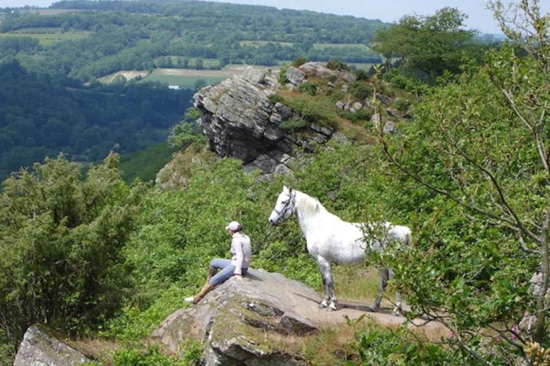 Photo of Others in Combray
