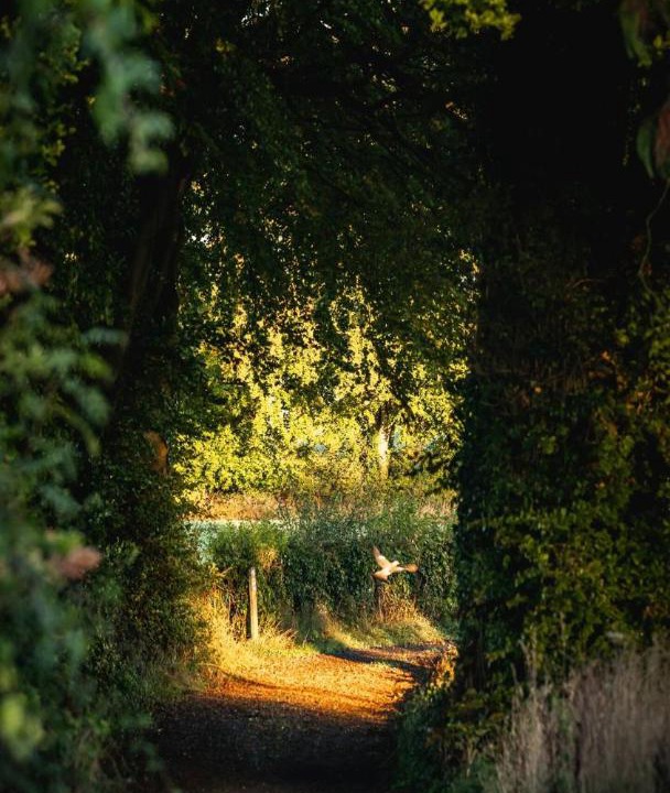 Photo of Others in Alton