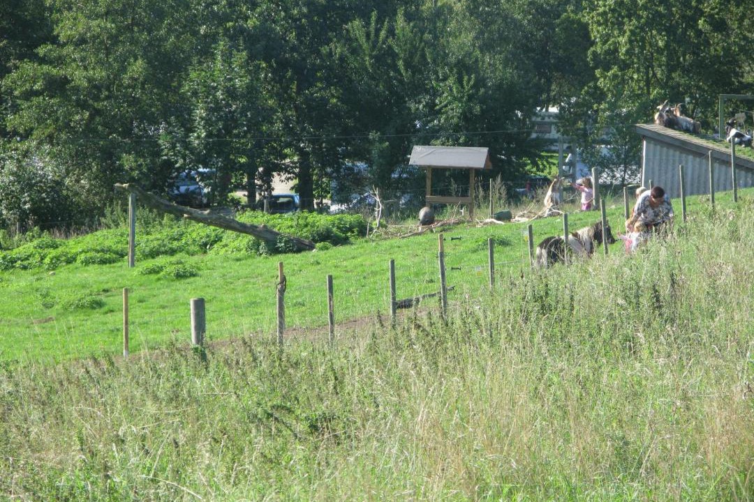 Photo of Others in Soro