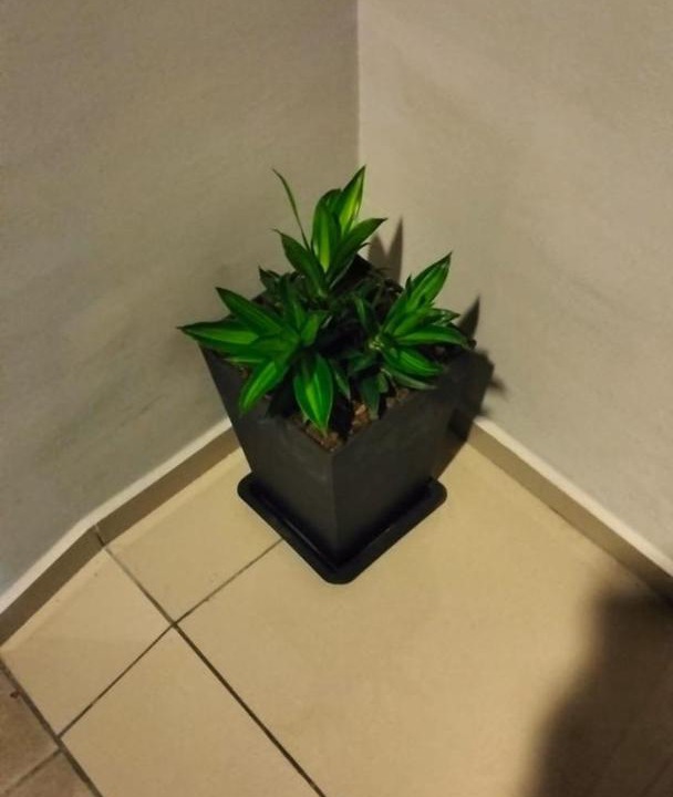 Photo of Others in Bangi Sentral