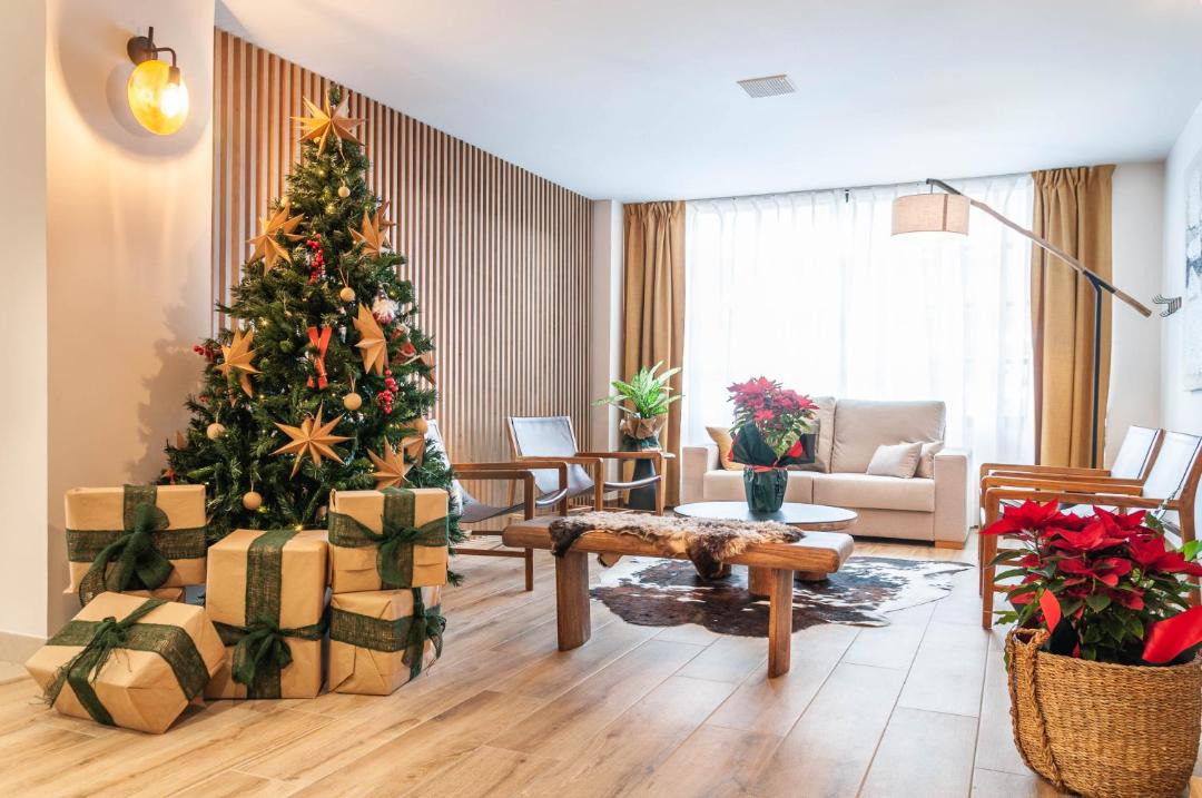 Photo of Livingroom in Vielha