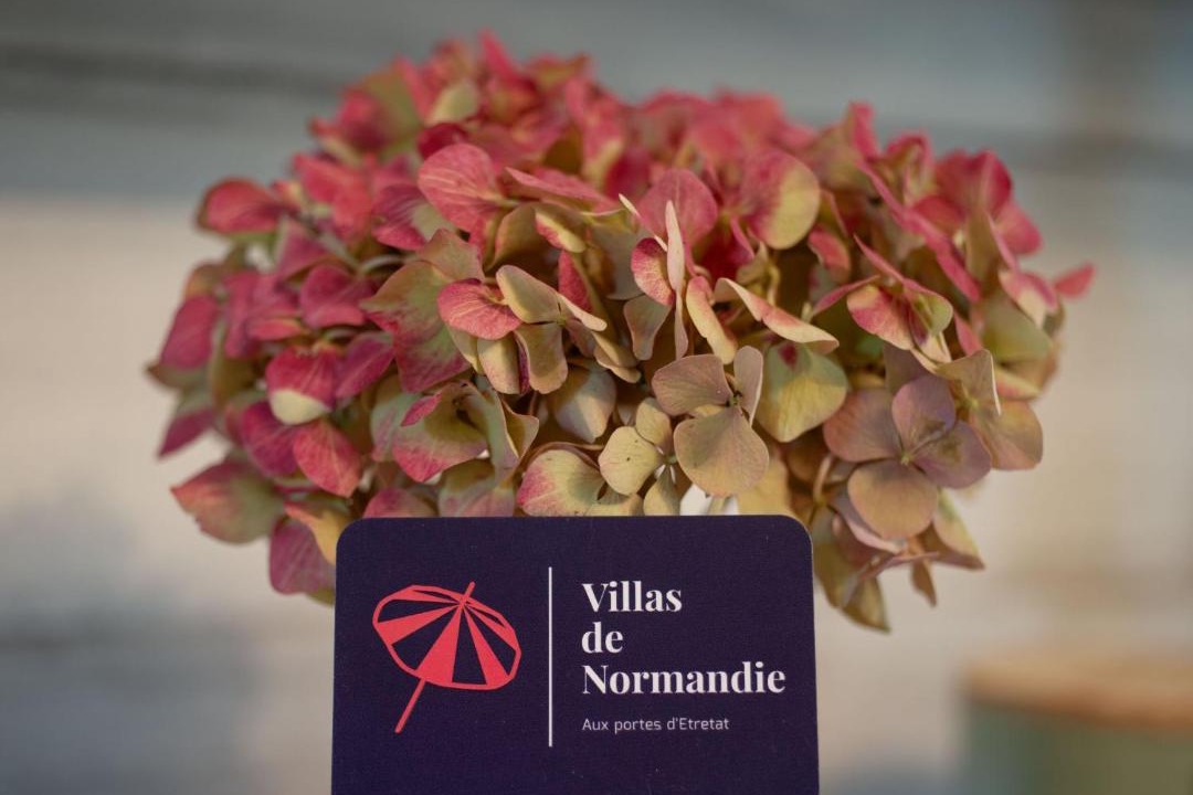 Photo of Others in Bordeaux-Saint-Clair