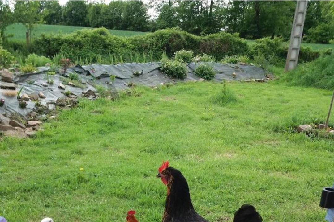 Photo of Others in Mortain-Bocage