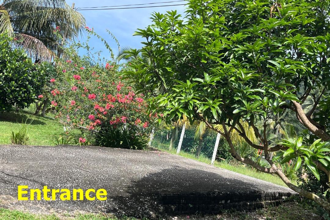 Photo of Outdoor in Lumut