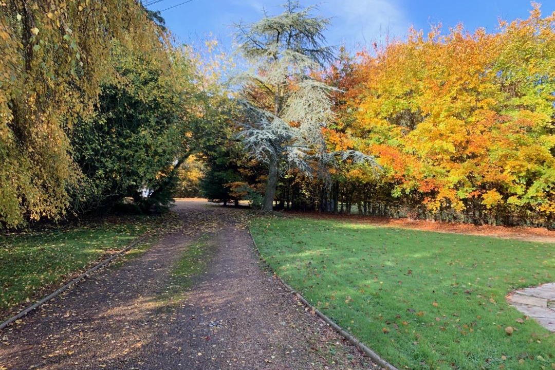 Photo of Outdoor in Great Ellingham