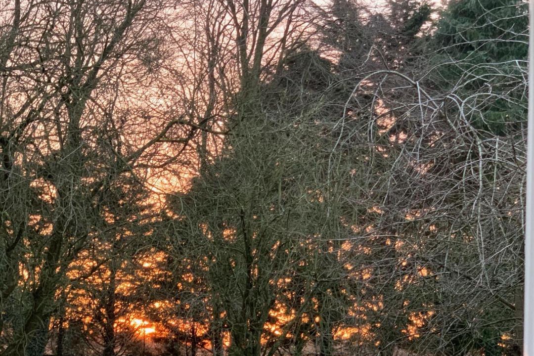 Photo of Others in Great Ellingham