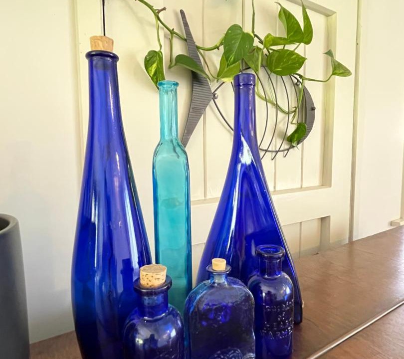 Photo of Others in Tauranga